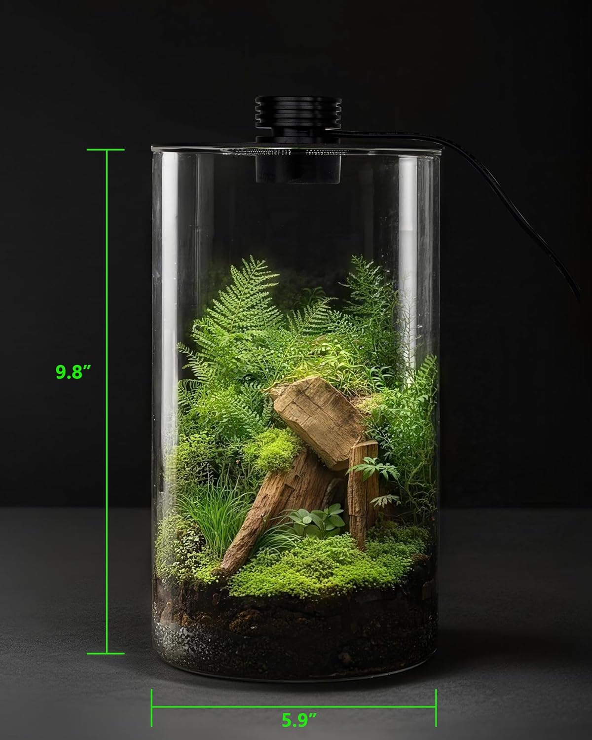 Glazen terrarium voor binnen m - Planted Tank recensie en prijs
