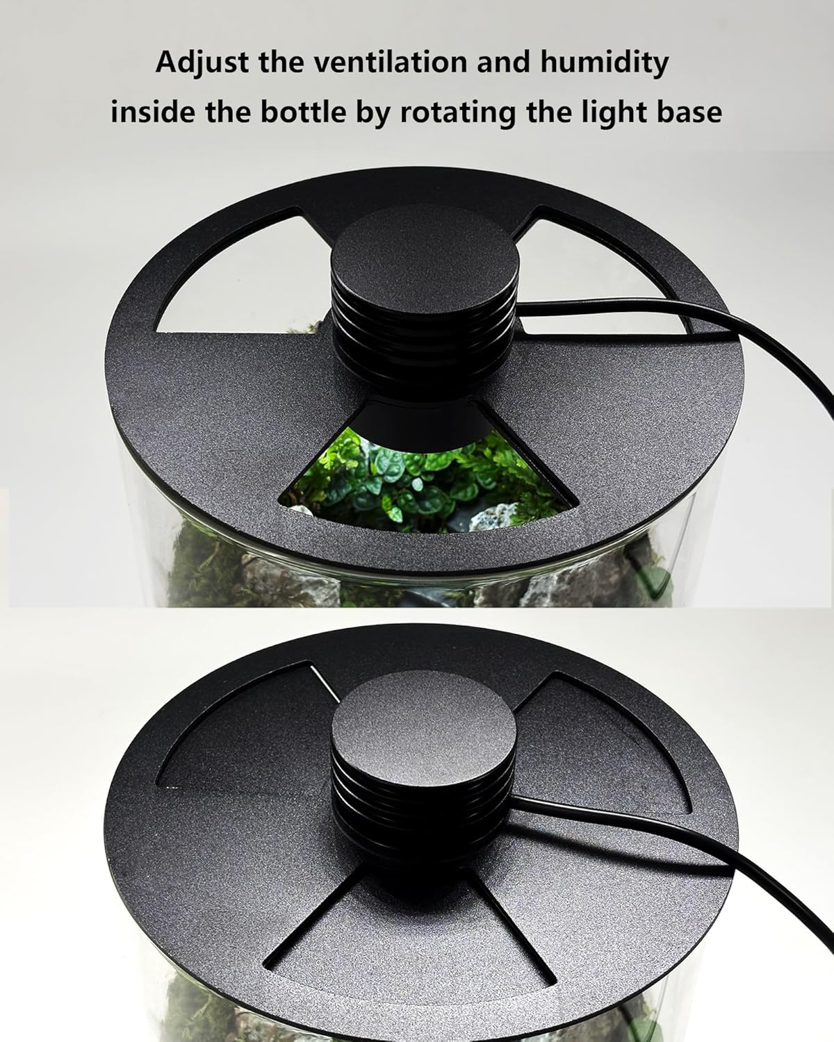 Glazen terrarium voor binnen m - Planted Tank recensie en prijs
