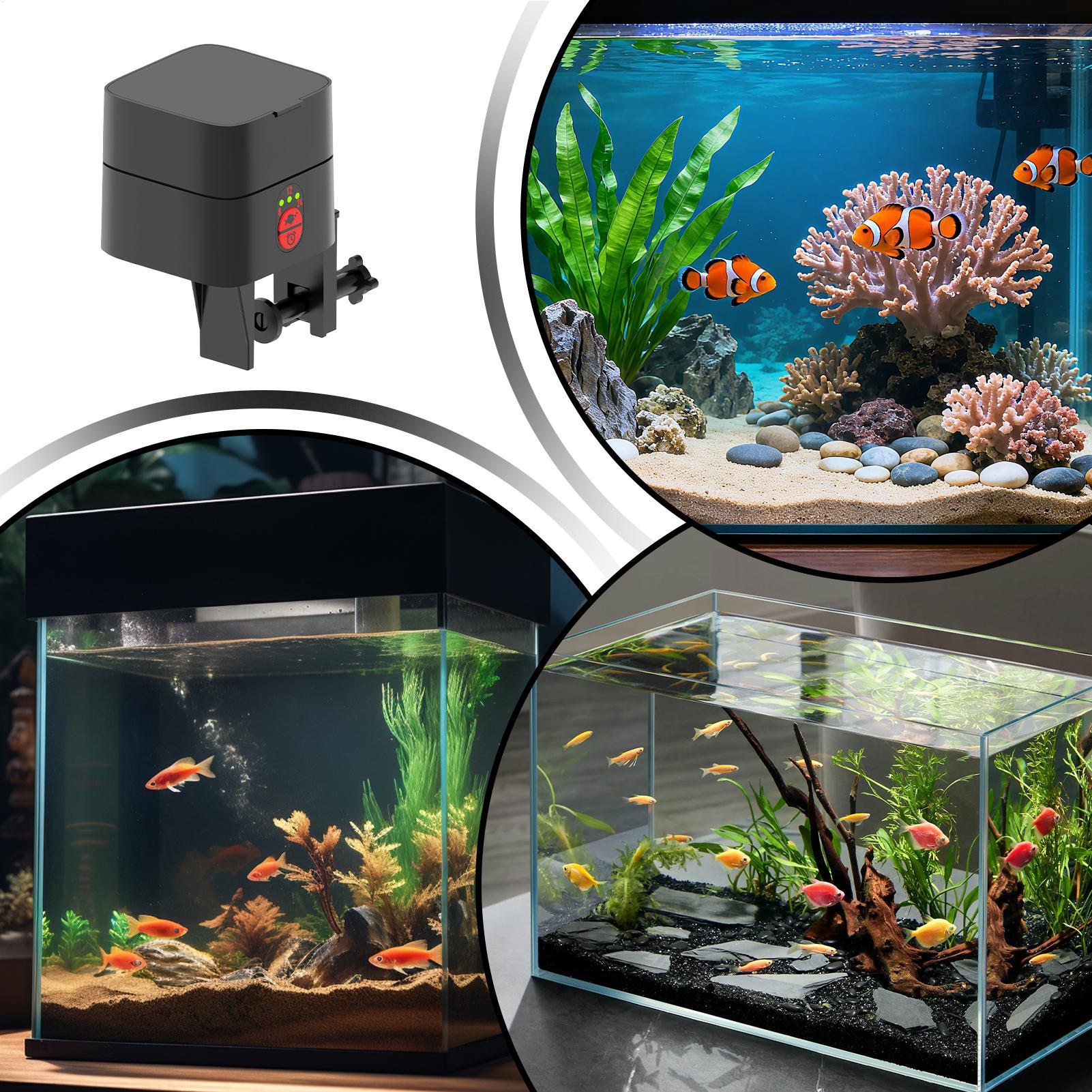Automatische visvoederautomaat - Aquarium Fertilizer recensie en prijs