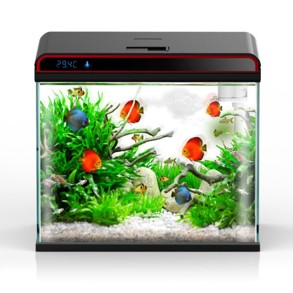 Sunsun 4-in-1 aquariumwatercon - Planted Aquarium Algae Control recensie en prijs