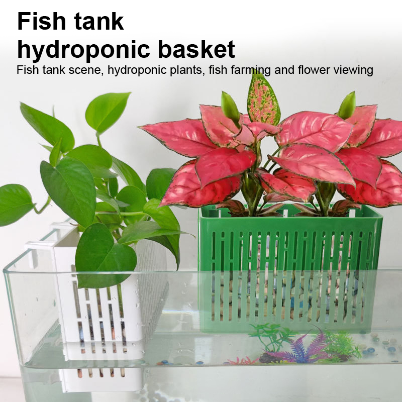 【F】Hangende plantenbak voor aq - Aquarium Plant Holder recensie en prijs