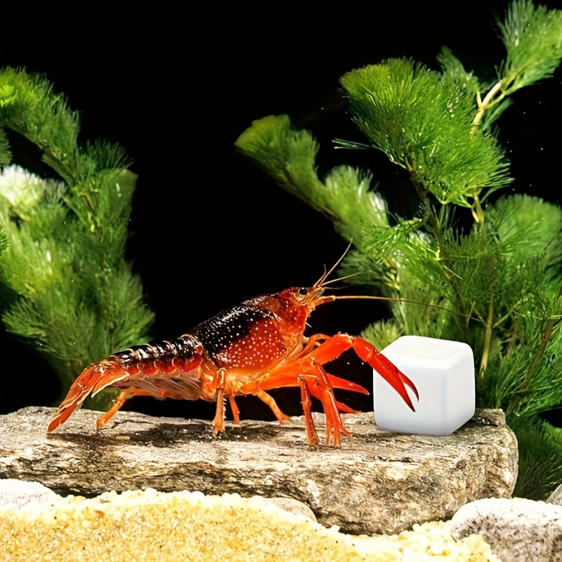 6 stuks Calciumblokken voor aq - Aquarium Plants Live recensie en prijs