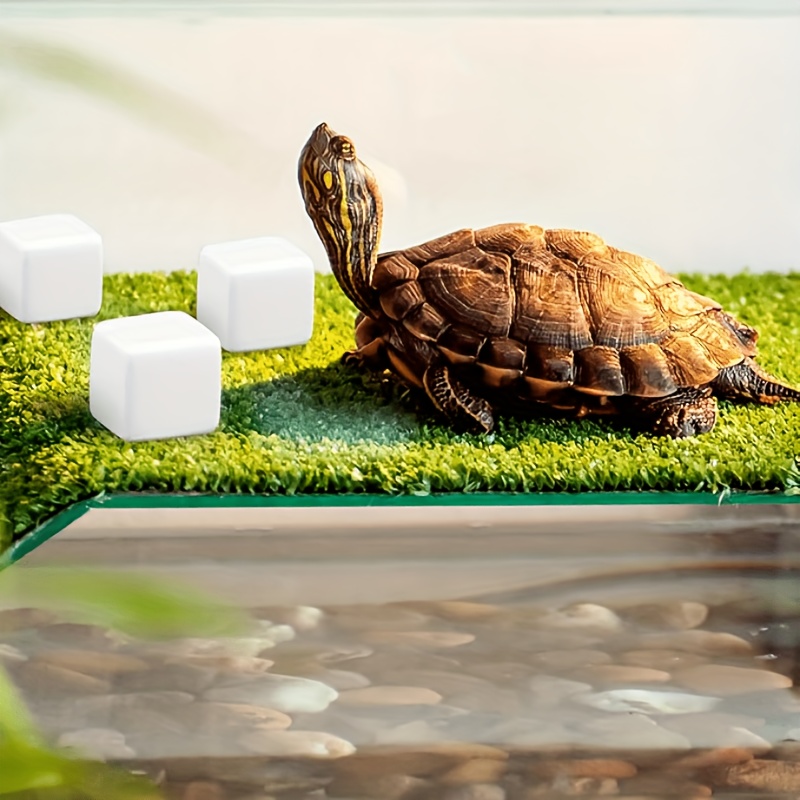 6 stuks Calciumblokken voor aq - Aquarium Plants Live recensie en prijs